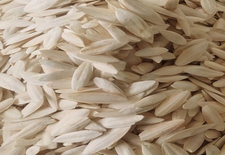 Tips For Storing and Preserving Dried Cuttlefish for Birds
